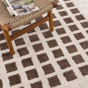 Baback Brown Washable Area Rug
