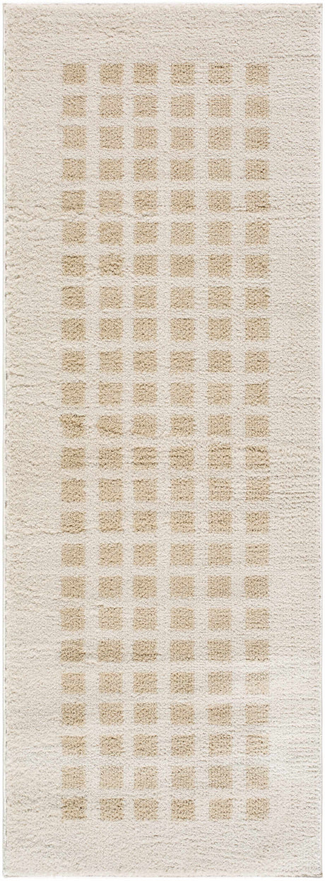 Baback Beige Washable Area Rug