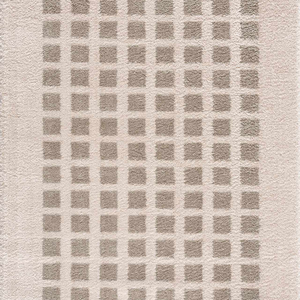 Baback Gray Washable Area Rug