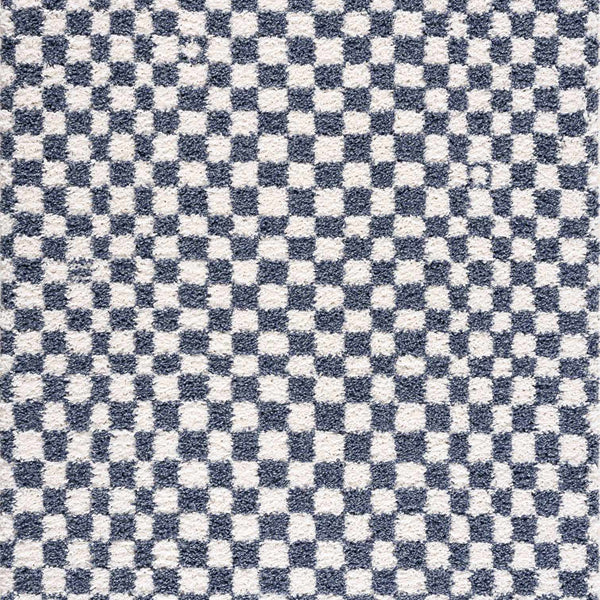 Kieu Blue & White Checkered Area Rug