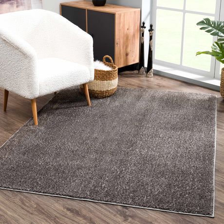 Judy Solid Dark Gray Washable Shag Rug - Promo