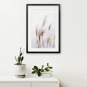Beige Dried Grass Print. Summer Field