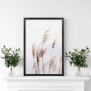 Beige Dried Grass Print. Summer Field