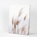 Beige Dried Grass Print. Summer Field