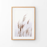 Beige Dried Grass Print. Summer Field