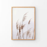 Beige Dried Grass Print. Summer Field