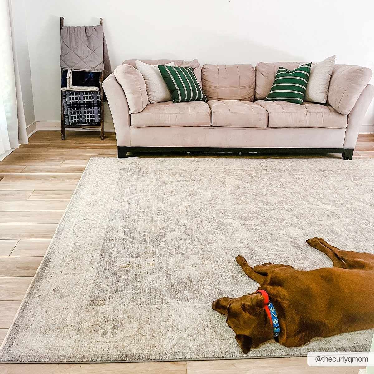 Binx Statement Rug