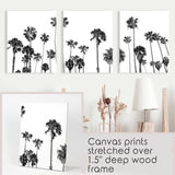 Black White Palm Trees Triptych