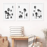 Black White Palm Trees Triptych