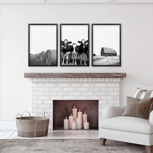 Black White Harvest on a Farm Wall Art. Cow, Hay Bale, Barn