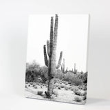 Black White Saguaro Cactus Poster. Arizona Desert Nature