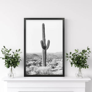 Saguaro Cactus Print. Black White Arizona Desert Nature
