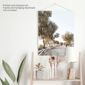 Modern Coastal Neutral Tones Photo. Trees Wall Art