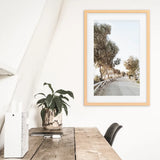 Modern Coastal Neutral Tones Photo. Trees Wall Art