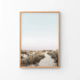 Boho Chic Wall Art Print. Sandy Beach Path, Dried Grass
