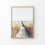 Calm Beach Wall Art Print. Sand Dunes, Dried Grass