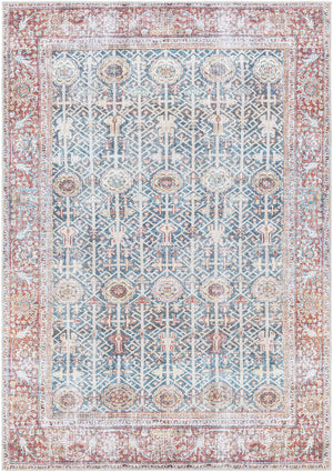 Rust Catadupa Distressed Washable Area Rug - Clearance