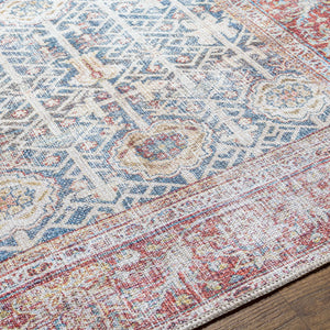 Rust Catadupa Distressed Washable Area Rug - Clearance