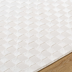Carina Light 3D Checkered Washable Area Rug