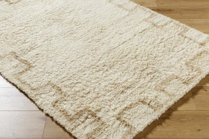 Ciniod Area Rug