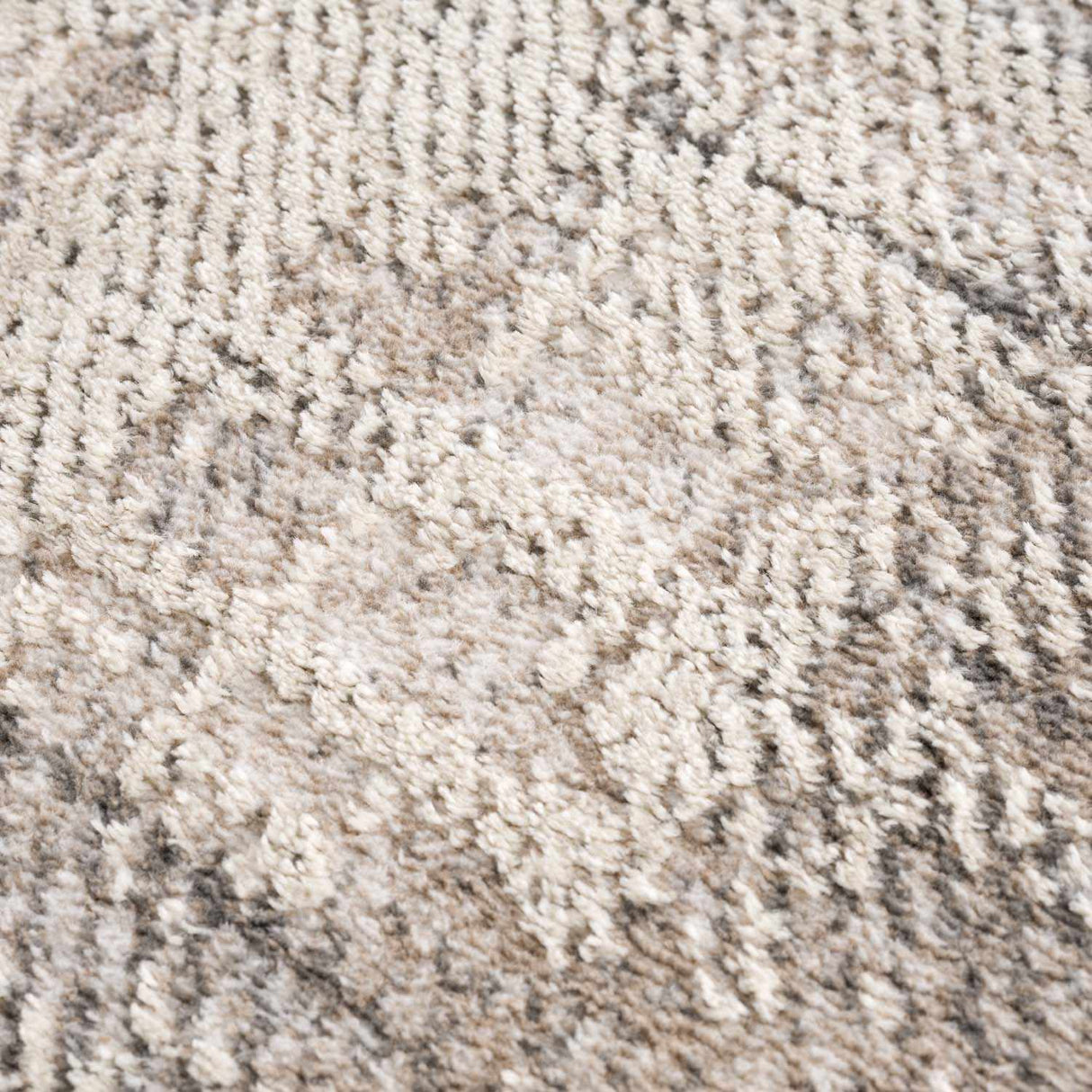 Colson Sage Area Rug
