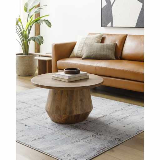 Concordia Faux Silk Rug