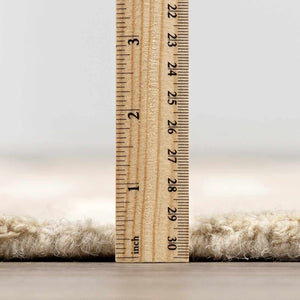 Idaho Broken-Striped Beige Area Rug