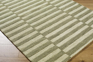 Idaho Broken-Striped Green Area Rug