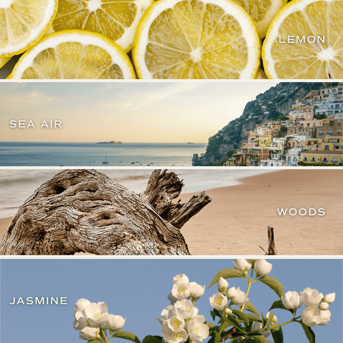 Sweet Water Decor Coastal Lemon Soy Candle - view 5