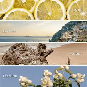 Coastal Lemon Soy Candle - Blue Matte Jar - 15 oz