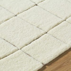 Caolan Washable Wool Rug