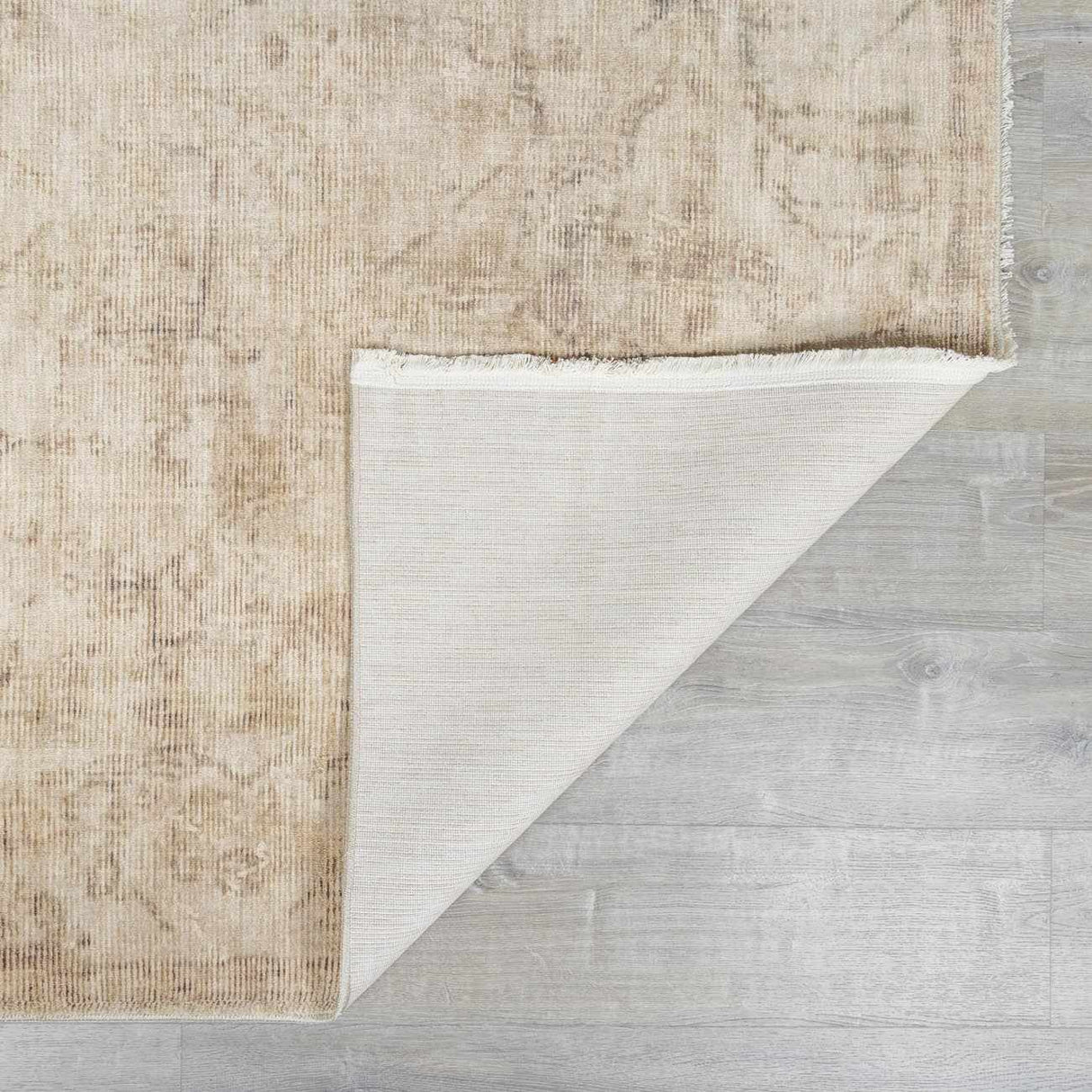 Fetscher I Vintage Medallion Area Rug