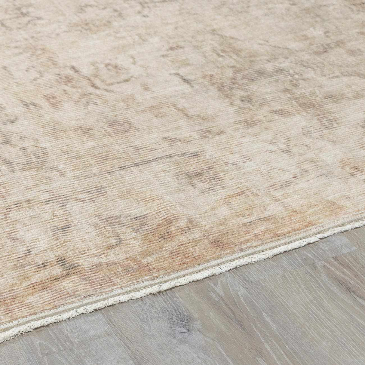 Fetscher I Vintage Medallion Area Rug