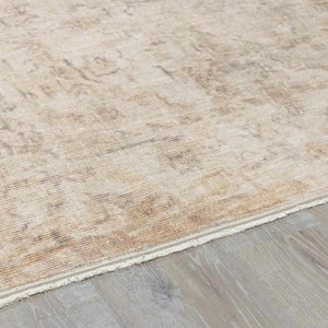 Fetscher I Vintage Medallion Area Rug