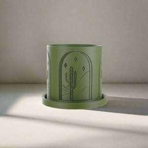Cactus Planter