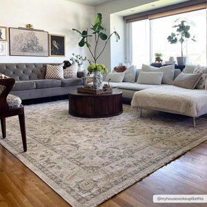 Clee Area Rug - Clearance