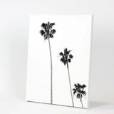 Tropical Black White Palm Trees Wall Decor