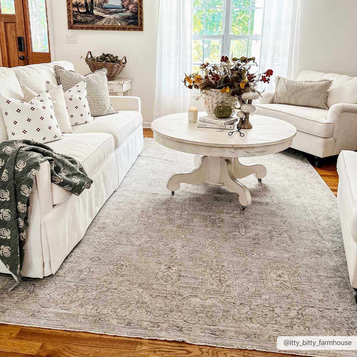 Coby Teal Avant Garde Area Rug