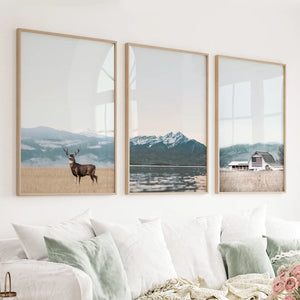 Set of 3 US Nature Photography. Colorado Travel Wall Art
