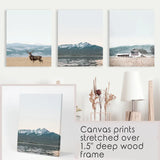 Set of 3 US Nature Photography. Colorado Travel Wall Art