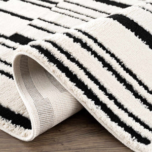 Bansi Area Rug