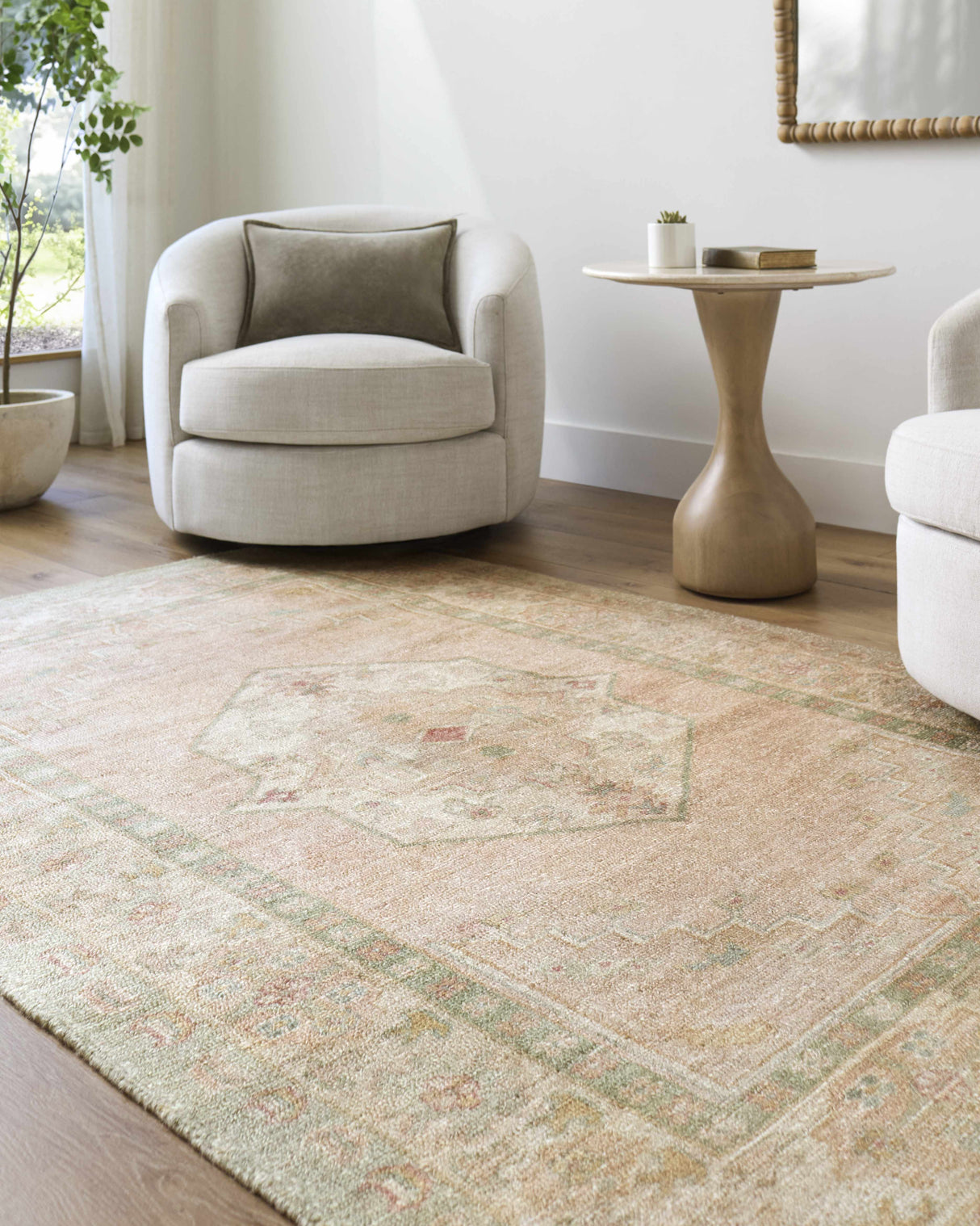 Luciana II Traditional Medallion Area Rug