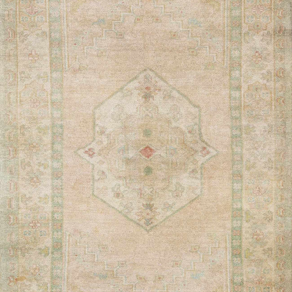 Luciana II Traditional Medallion Area Rug
