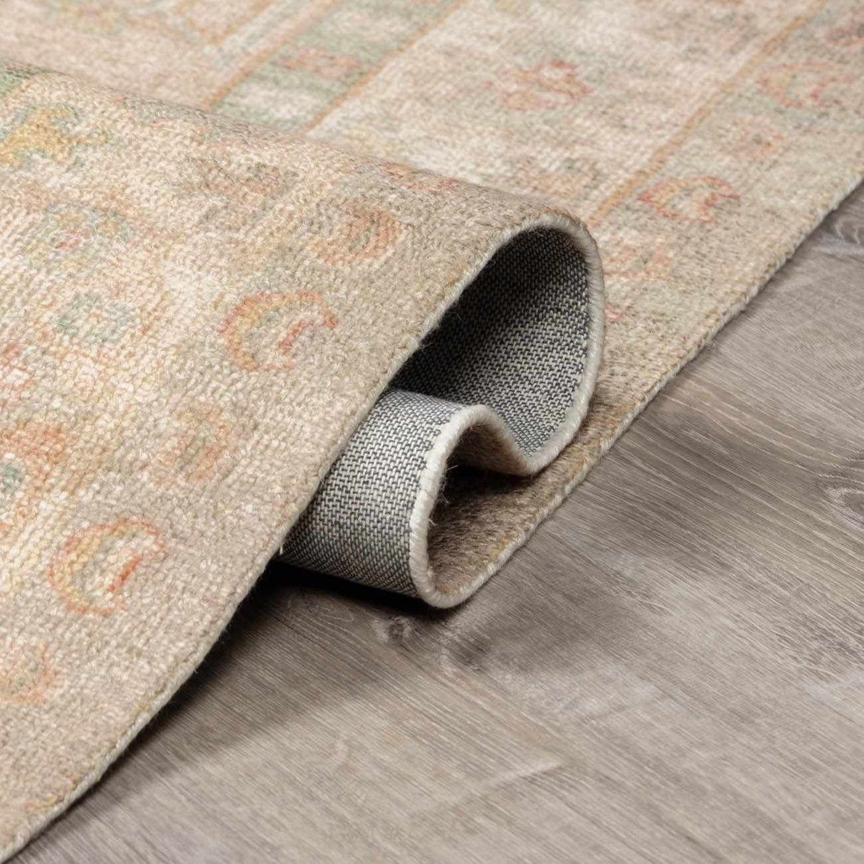 Luciana II Traditional Medallion Area Rug
