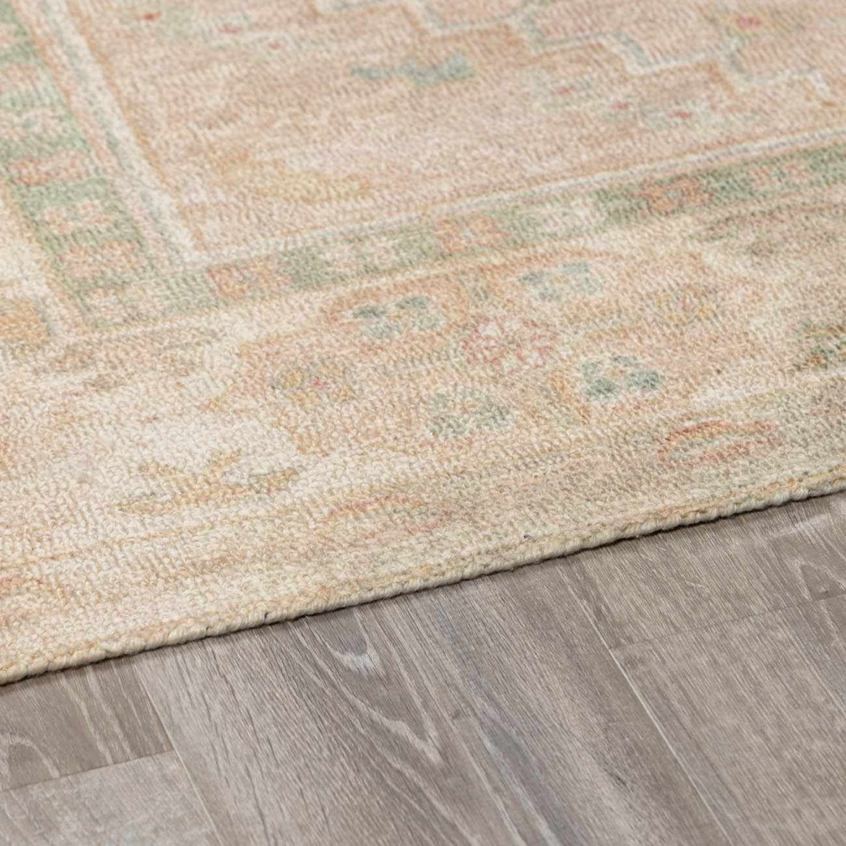 Luciana II Traditional Medallion Area Rug