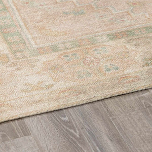 Luciana II Traditional Medallion Area Rug
