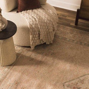 Luciana II Traditional Medallion Area Rug