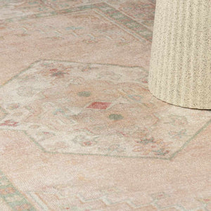 Luciana II Traditional Medallion Area Rug
