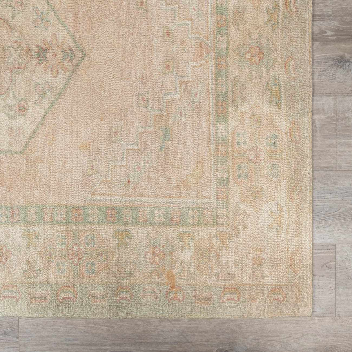 Luciana II Traditional Medallion Area Rug