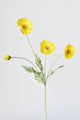 Artificial Flora